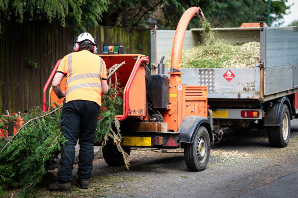 Best Commercial Tree Services  in Sanger, TX