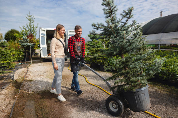 Best Emergency Tree Removal  in Sanger, TX